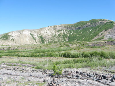 pumice plain_willow spring.JPG