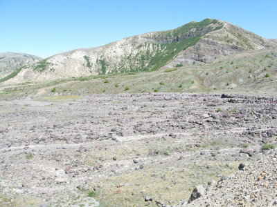 toward Windy Ridge.JPG