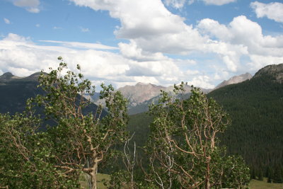 IMG_4003.JPG