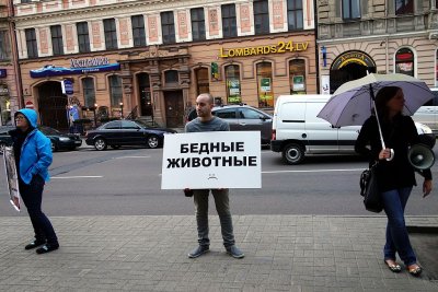 27.08.2014