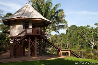 Kabalebo-3.jpg