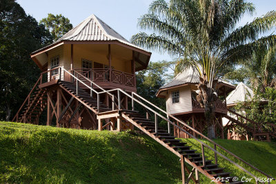 Kabalebo-4.jpg