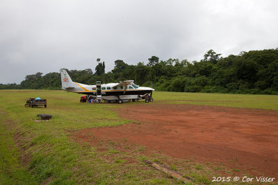 Kabalebo-7.jpg