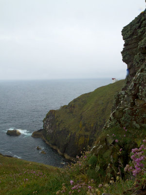 St. Abbs Head