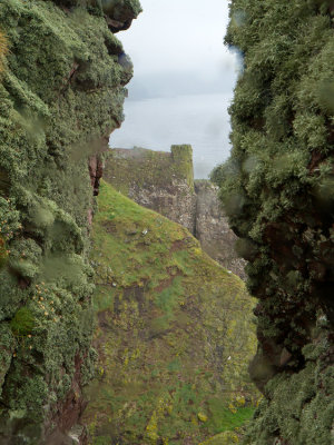 St. Abbs Head