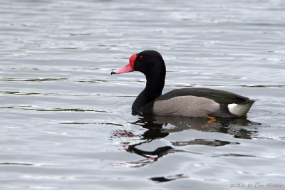 g9/30/1191630/3/163007906.4Zg8oUZ2.jpg