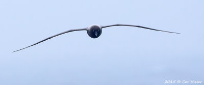 g9/30/1191630/3/163007937.LxJnljkx.jpg