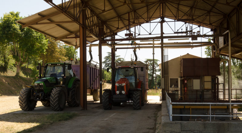 2015-07-25_15-38-35_Lavandin.jpg