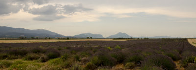 g9/30/1202530/3/162031023.JF0mZODA.jpg