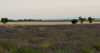 g9/30/1202530/3/162031032.pNiK1kyX.jpg