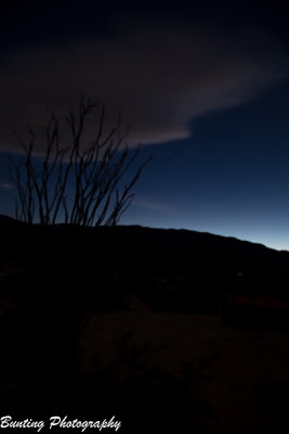 _MG_2490.jpg
