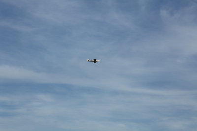 IMG_6004.JPG