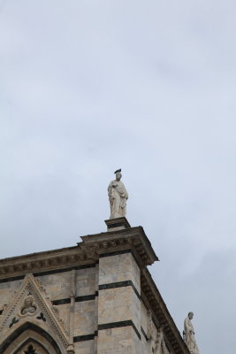 IMG_6482.JPG