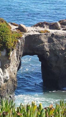 20141108_130114.jpg