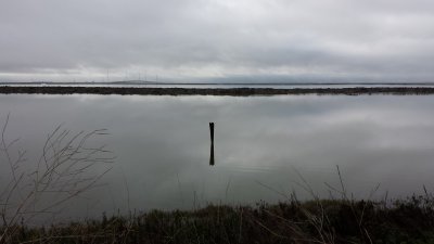 20141221_113954.jpg