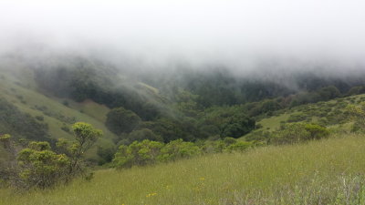 May Hike At Skyline Ridge Open Space Preserve - 05/09/15