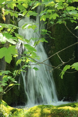 IMG_8771.JPG