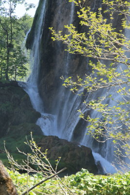 IMG_8809.JPG