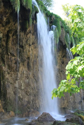 IMG_8824.JPG
