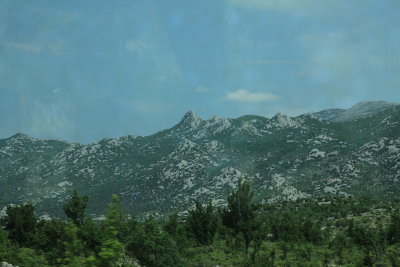 IMG_8893.JPG