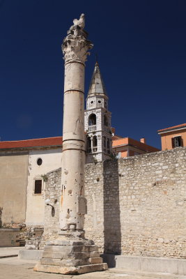 IMG_8921.JPG