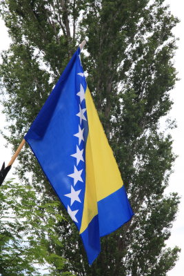 Flag of Bosnia (IMG_9666.JPG)