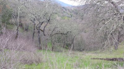 20160101_134304.jpg
