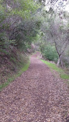 20160101_134841.jpg