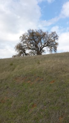 20160101_140347.jpg