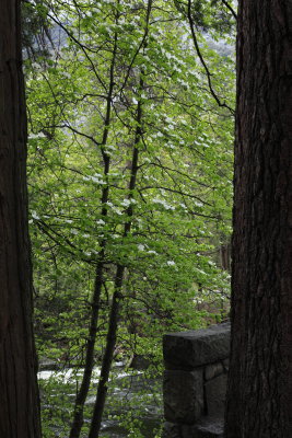 _MG_3205.JPG