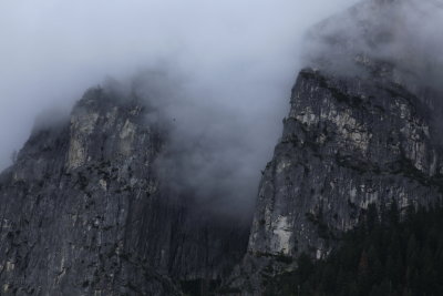 _MG_3252.JPG