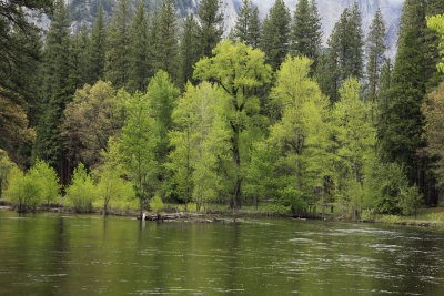 _MG_3260.JPG
