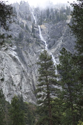 _MG_3288.JPG
