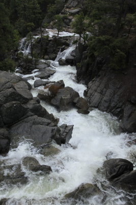 _MG_3328.JPG