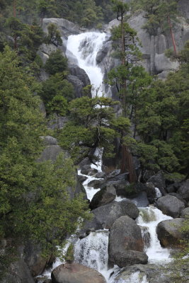 _MG_3337.JPG