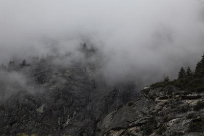_MG_3472.JPG