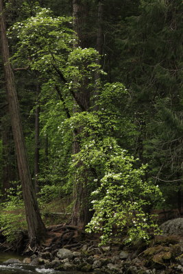 _MG_3586.JPG