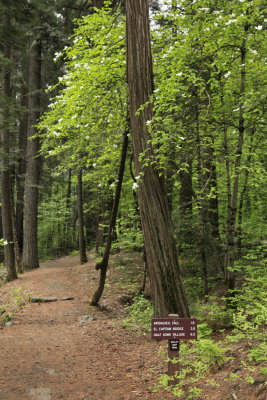 _MG_3592.JPG