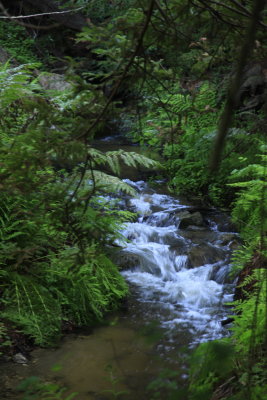 _MG_3012.JPG