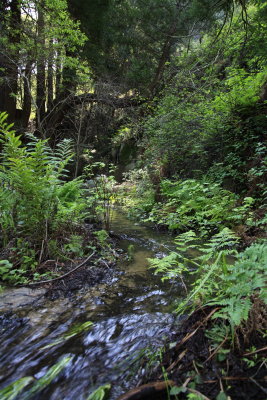 _MG_3017.JPG