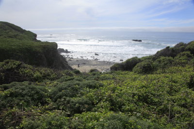 Garrapata State Park - 03/19/16