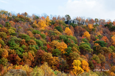 Chimney Rocks   