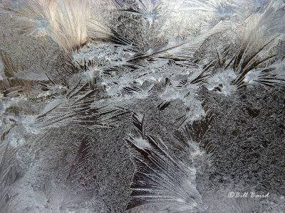 Window Frost