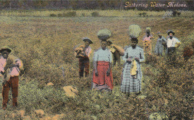 Gathering Watermelons