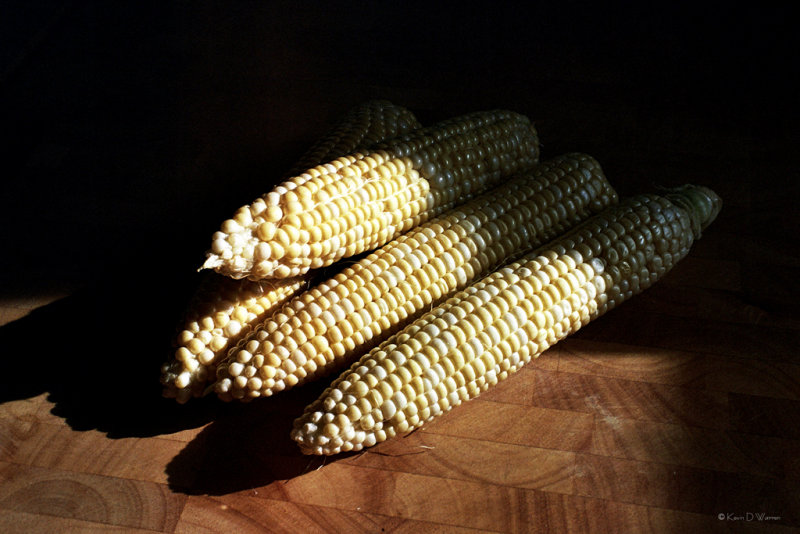 17A_0541