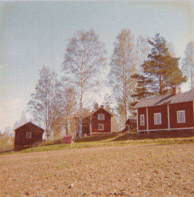 clara-lingblom-oberg-home-sweden-now.jpg