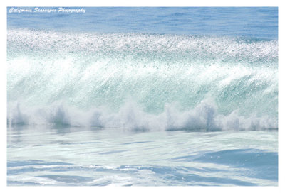 Ocean 08