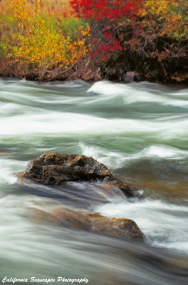 River and Color