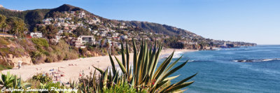 Laguna Beach View Panoramic