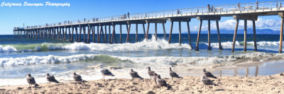 Hermosa Beach Panoramic